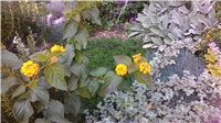 69d8a10d-P_20171002_153539.jpg