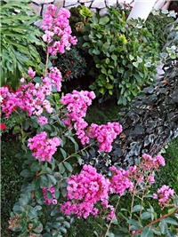 6a02a5aa-DSC05944.JPG