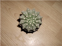 6b35ca55-DSCI0872.JPG