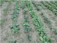 6b85d3e1-DSCI2092.JPG