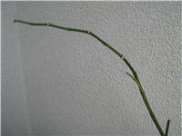 6ba020ca-IMG_0013.JPG
