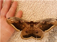 6baf73c8-P4090406.JPG