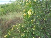 6bb904f7-DSCN1076.JPG