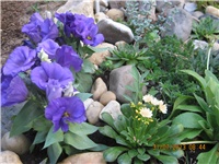 6bef8dde-083.JPG