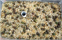 6c54edb1-027.JPG
