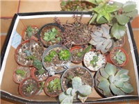 6d8c31f8-DSCN1458.JPG