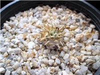 6ddfe28e-001.JPG