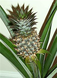 6dfc0110-19.jpg