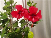 6e14af45-P1010064.JPG