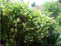 6e55872f-101_2087.jpg