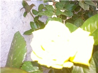 6ea5d7ed-20130530_180748.jpg