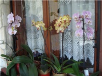 6eadc6ea-DSC09014.JPG