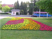 6efb37a7-14b6-4b02-8023-6e23ba7ea2f8-park1.jpg