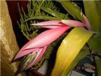 6f133d69-DSCN2587.JPG