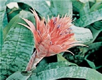 700c807c-5.jpg