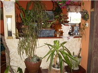 70f04225-SL732287.JPG