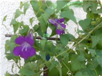 713e10bd-DSCN0824.JPG