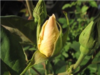 714f4862-18.5.015.jpg