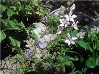 71ad96af-P110614_14.36.jpg