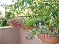72979032-IMG_0552.jpg