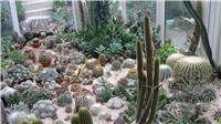 72f50c45-DSC05390.JPG