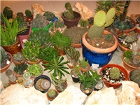 7456eef6-IMG_2766.jpg