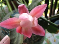 74beab0c-srijeda002.jpg