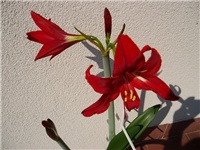752bee2b-P1010172a.jpg