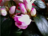 75c209cb-P20-01-10_12.26.jpg