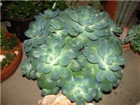 75e7f905-IMG_2743.jpg