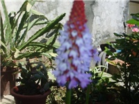 75eff9ea-S5000282.JPG
