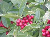 76baabde-18.jpg