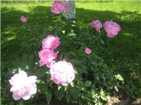 7791cec6-IMG_3936.jpg