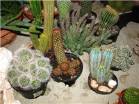 781b0d71-IMG_2721.jpg