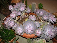 784394ea-IMG_2758.jpg