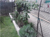78cd0883-P190414_13.28.jpg