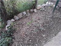 79c016b6-P230514_15.31.jpg