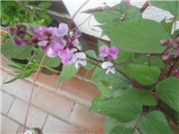 7ad27ebb-DSCN0834.JPG