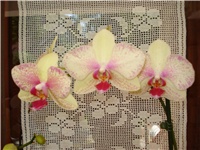 7ae209f1-DSC05737.JPG