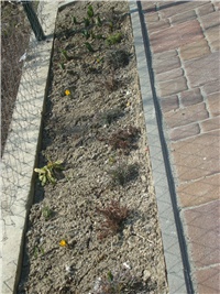 7b679b86-15.03.2012.JPG