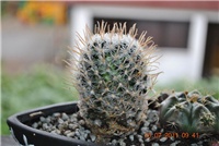 7b8f27bb-subota.035.jpg