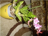 7bb4b67a-DSC00191.JPG
