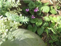 7c355fa4-IMG_4310.jpg