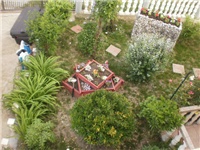 7c3efe1a-P5100028.JPG