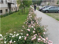 7cbe4bd6-20150524_135149.jpg