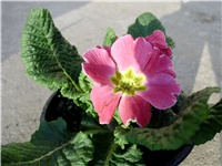 7d693b3d-DSCI0123.JPG