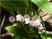7e0afe38-P1040481.JPG