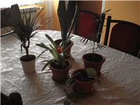 7e77bebd-Picture.jpg