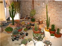 7e7c1aa2-IMG_2772.jpg