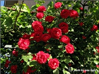 7e8decd3-IMG_3900.JPG